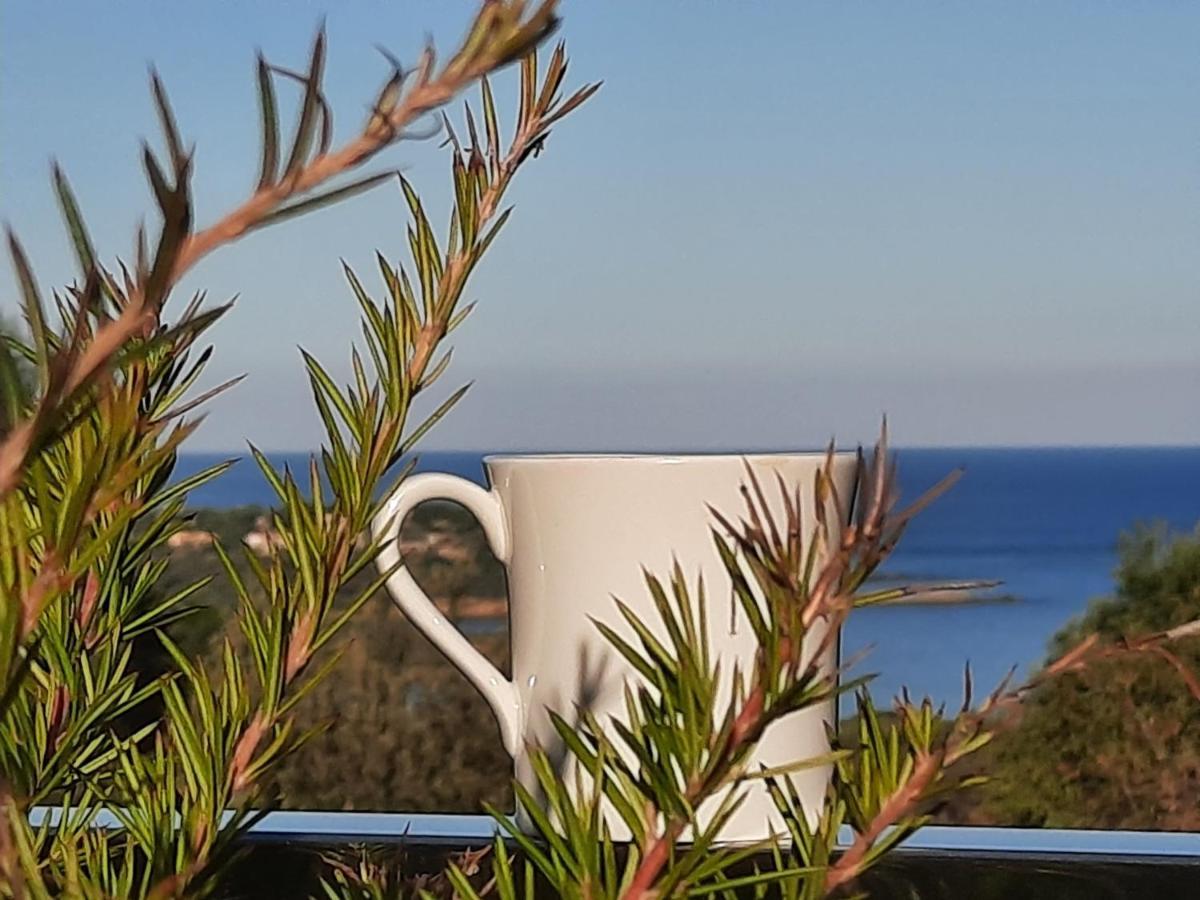 Davia Hotel LʼÎle-Rousse Εξωτερικό φωτογραφία